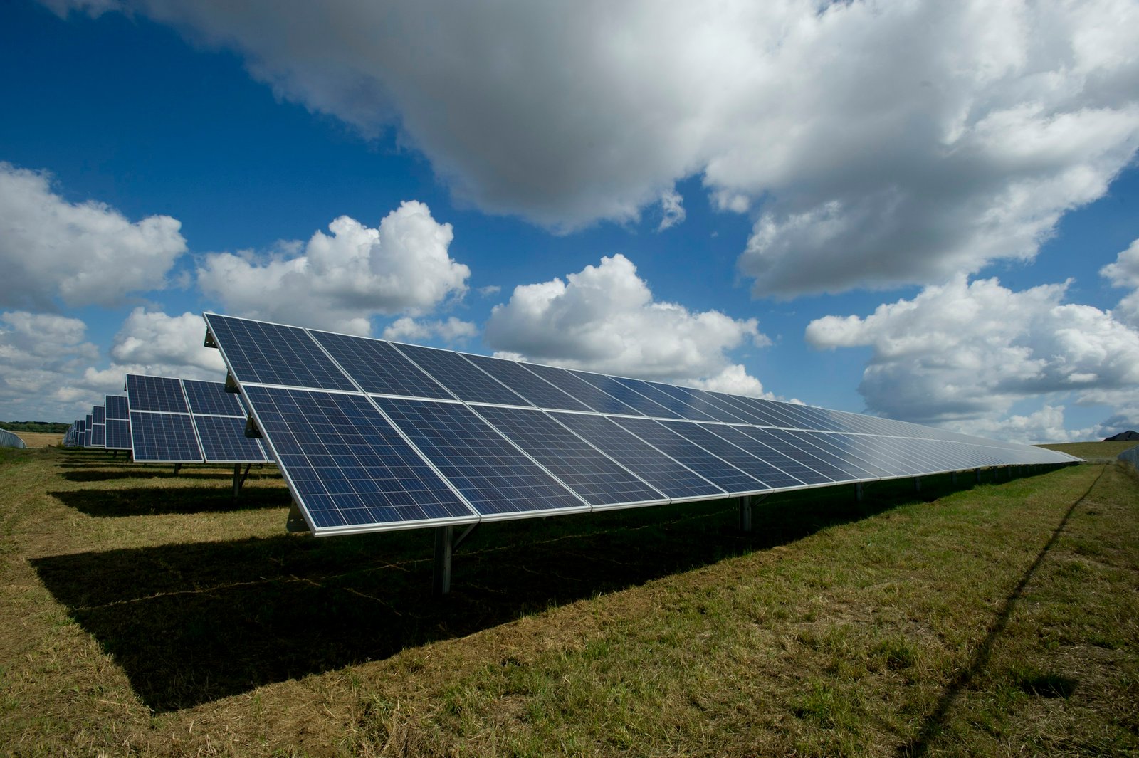Solar panel array capturing sunlight